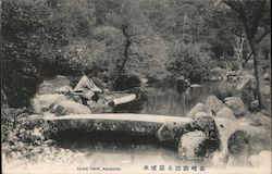Pond in Suwa Park Nagasaki, Japan Postcard Postcard Postcard
