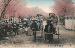 Cherry Blossoms of Yokohama Park Postcard