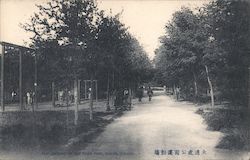 Playground of the Tiger Park Postcard