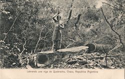 Labrando Una Viga de Quebracho Postcard