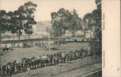 Expoicion Rural. Buenos Aires Postcard