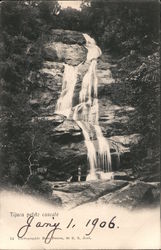 Tijuca à la Petite Cascade Postcard