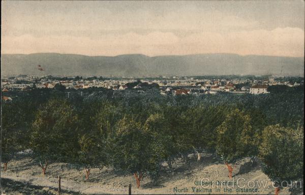 Gilbert Orchard, North Yakima in the Distance Washington