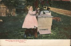 A Queen Picking Grapes Above Her Favorite Hive at The Home of the Honey Bees Postcard