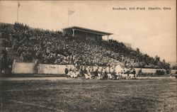 Stadium, Dill Field Postcard