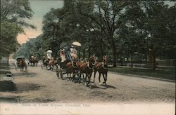 Scene on Euclid Avenue Postcard