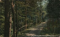 Old Wood Road and Red Rocks Burlington, VT Postcard Postcard Postcard