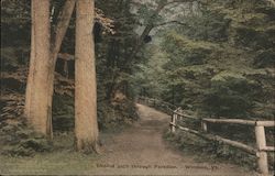 Shaded Path Through Paradise Postcard