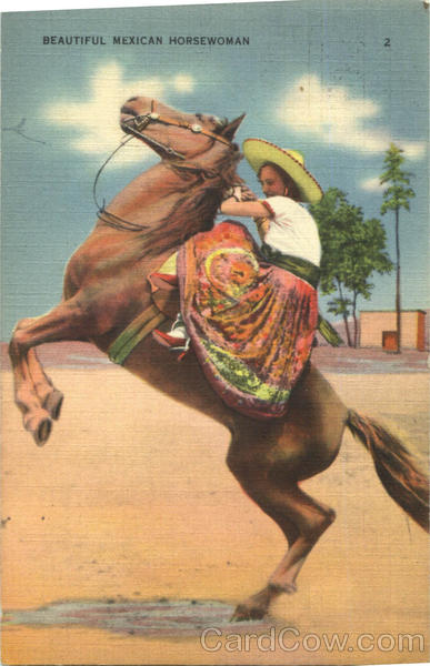 Beautiful Mexican Horsewoman Mexico