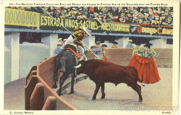The Mounted Toreador Calls The Bull And Repels Juarez Mexico