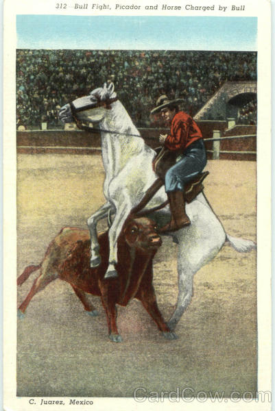 Bull Fight Juarez Mexico