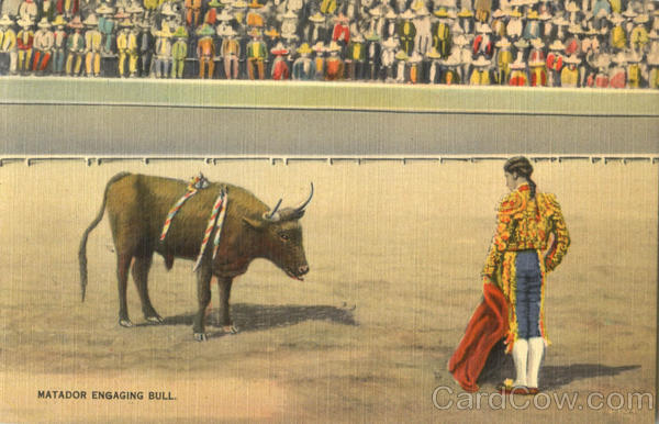 Matador Enraging Bull Mexico