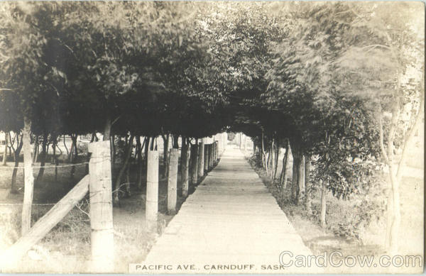 Pacific Ave Carnduff SK Canada Saskatchewan