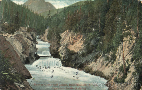 Beaver Gates And Canon AB Canada Alberta
