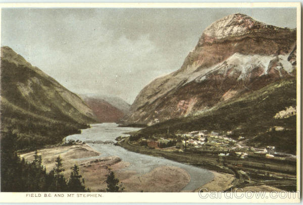 Field B. C. & Mt. Stephen BC Canada British Columbia
