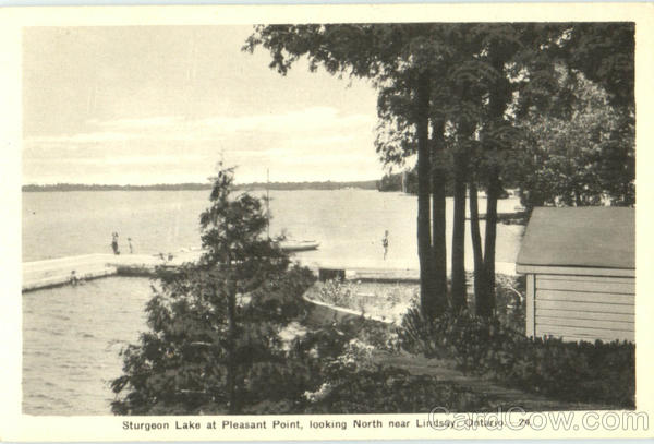 Sturgeon Lake At Pleasant Point Lindsay Canada Ontario