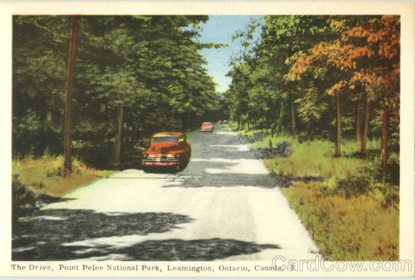 The Drive, Point Pelee National Park Leamington Canada