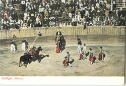 Bullfight Mexico Postcard Postcard