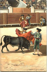 Capro A La Alimon Postcard