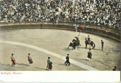 Bullfight Postcard