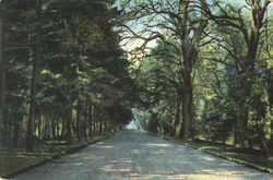 Stock #52371 Thumbnail