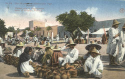Dia De Plas En Postcard