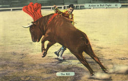 Action In Bull Fight Postcard