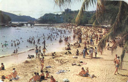 Caleta Beach Postcard
