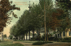 Francis Street Postcard