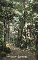 A Favourite Walk In Niagara Glen, Niagara Falls Postcard