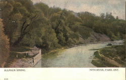 Sulphur Spring Postcard