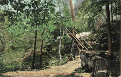 A Pretty Spot In Niagara Glen, Niagara Falls Postcard