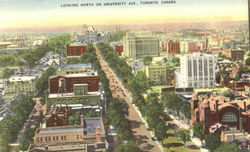 Looking North On University Ave Postcard