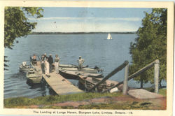 The Landing At Lunge Haven, Sturgeon Lake Postcard