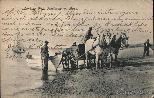 Landing Fish Provincetown Massachusetts