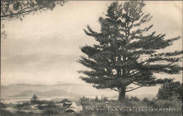 Great Squam Lake and The Whittier Pine Center Harbor New Hampshire