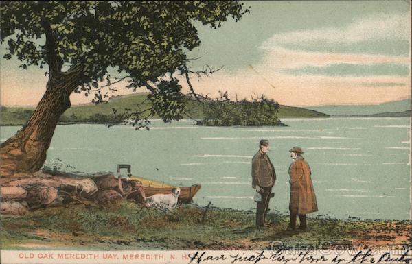 Old Oak Meredith Bay New Hampshire