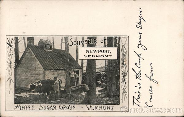 Souvenir of Newport, Vermont