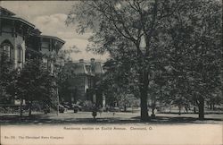 Residence Section on Euclid Avenue Postcard