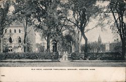 Elm Arch, Andover Theological Seminary Postcard