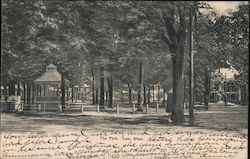 The Park Postcard