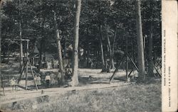 Scene in Pequot Park Postcard