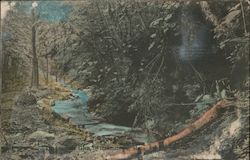 Thanotopsis Glen Williamstown, MA Postcard Postcard Postcard