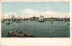 From the Harbor Marblehead, MA Postcard Postcard Postcard