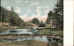 US Fish Hatchery Postcard