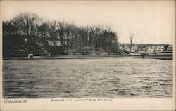 Pond in White's Park Concord, NH Postcard Postcard Postcard