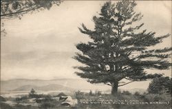 Great Squam Lake and The Whittier Pine Postcard