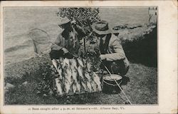 Bass Caught after 4 p.m. at Samson's St. Albans Bay, VT Postcard Postcard Postcard