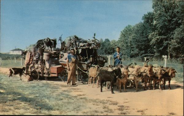 Chess McCartney's Goat Caravan Jefferson Georgia