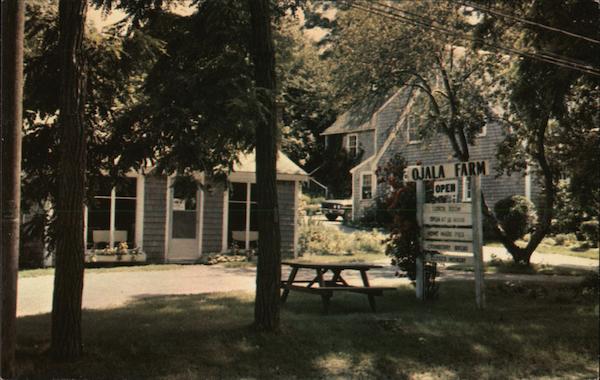 Ojala Farm West Barnstable Massachusetts